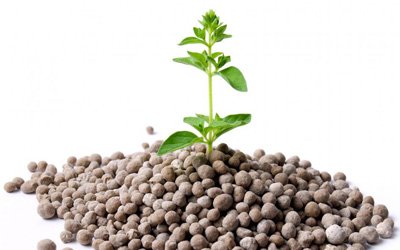 Leading Fertilizer Manufacturer in india